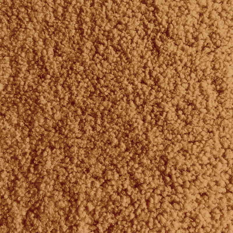 Teddy Camel